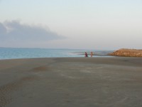 /album/kargan%2c-southern-iran-%d8%a8%d9%86%d8%af%d8%b1-%da%a9%d8%b1%da%af%d8%a7%d9%86/kargan-souther-iran-feb2014-35-jpg1/